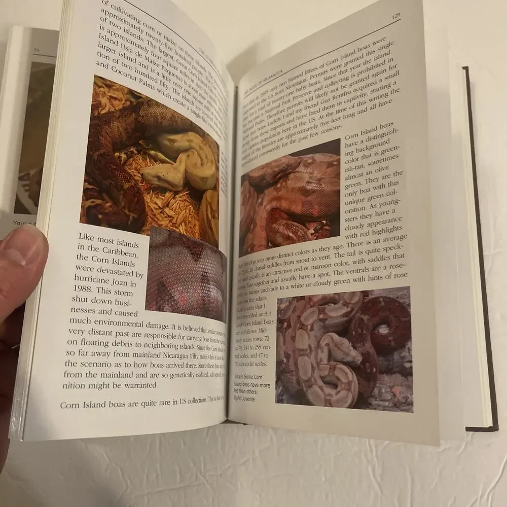 Complete Boa Constrictor: A Comprehensive Guide to the Care, Breeding 2007 HC